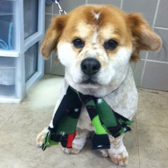 Meet Your Posher, Natalie - Picture 1 of 4